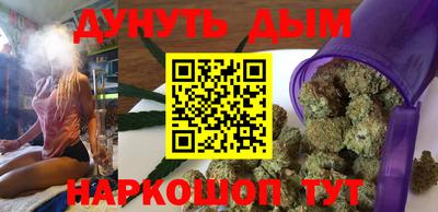 индика Кандалакша