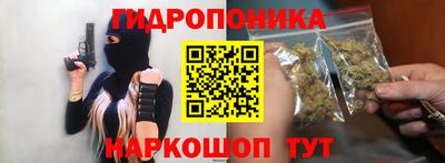 индика Кандалакша