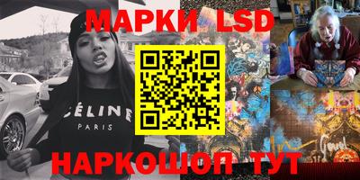 индика Кандалакша