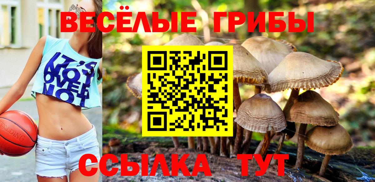 Комсомольск-на-Амуре  Псилоцибиновые грибы мицелий  Вход с VPN  Псилоцибиновые грибы GOLDEN TEACHER 